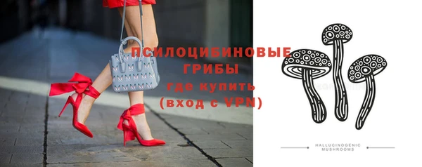 дурь Волоколамск