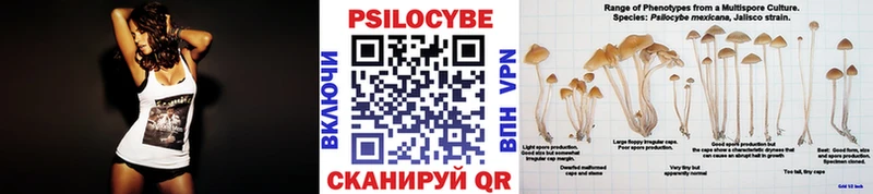 Галлюциногенные грибы Psilocybe  Купить где  Сорочинск 